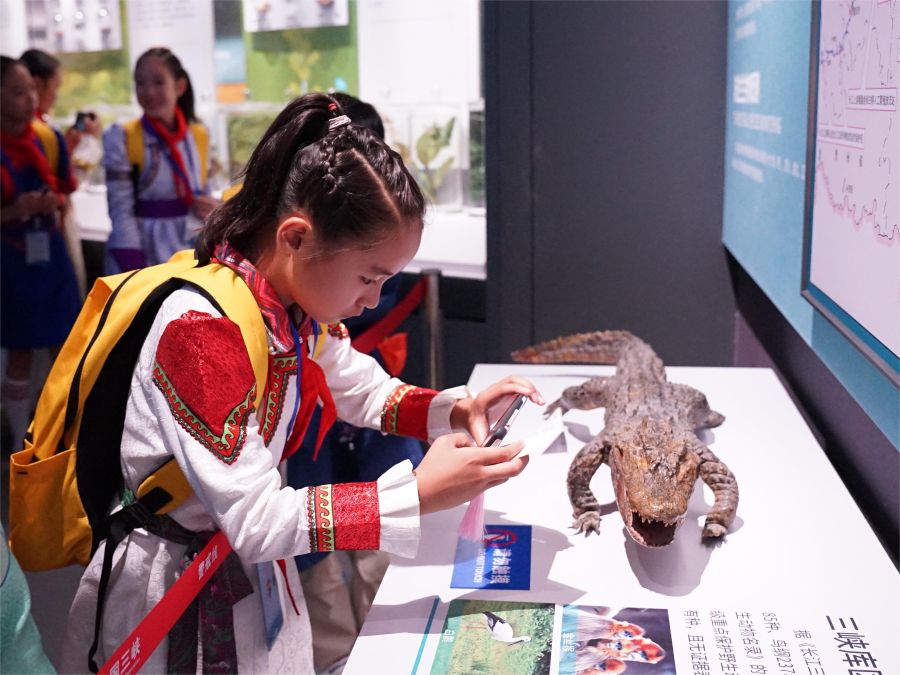 “三峽娃娃”。（攝影：秦鈴萌） (6)